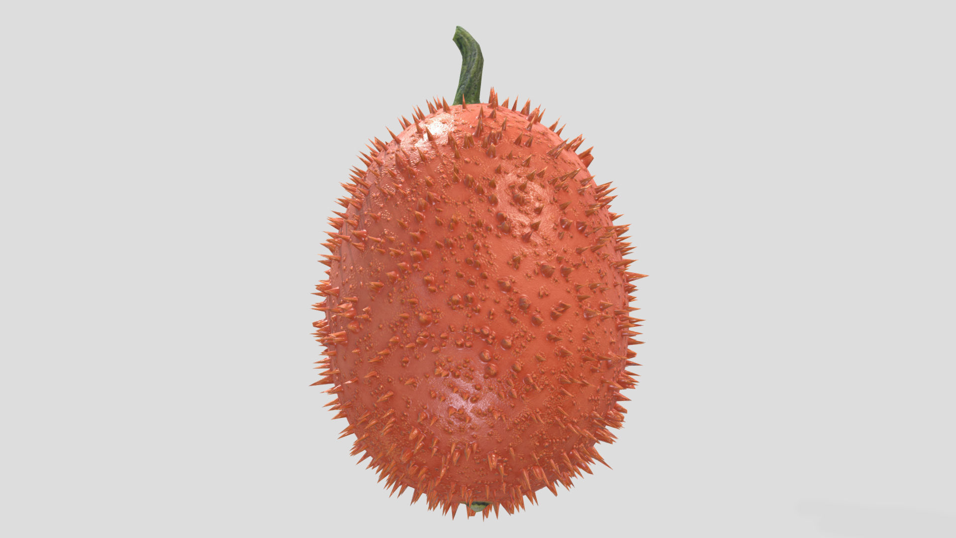 Fruit Gac Low Poly 3D model_3
