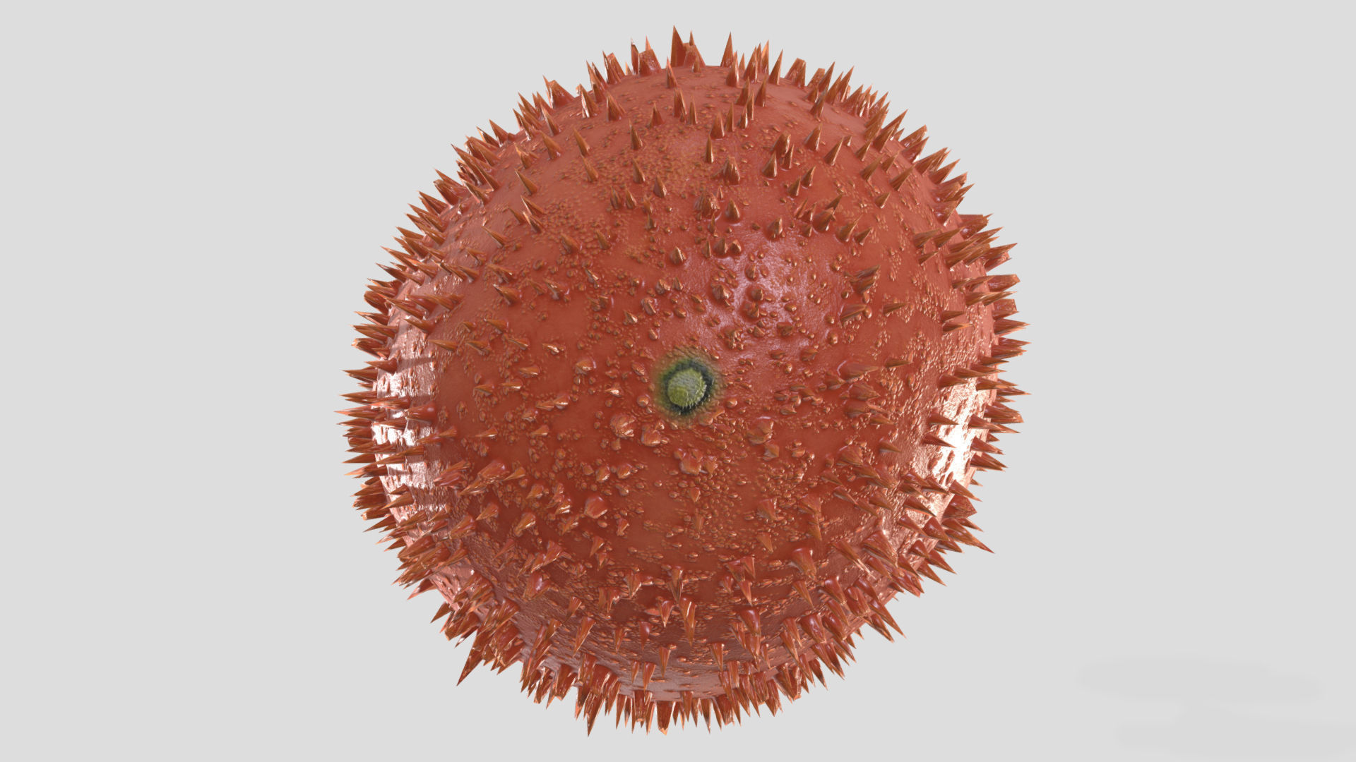 Fruit Gac Low Poly 3D model_8