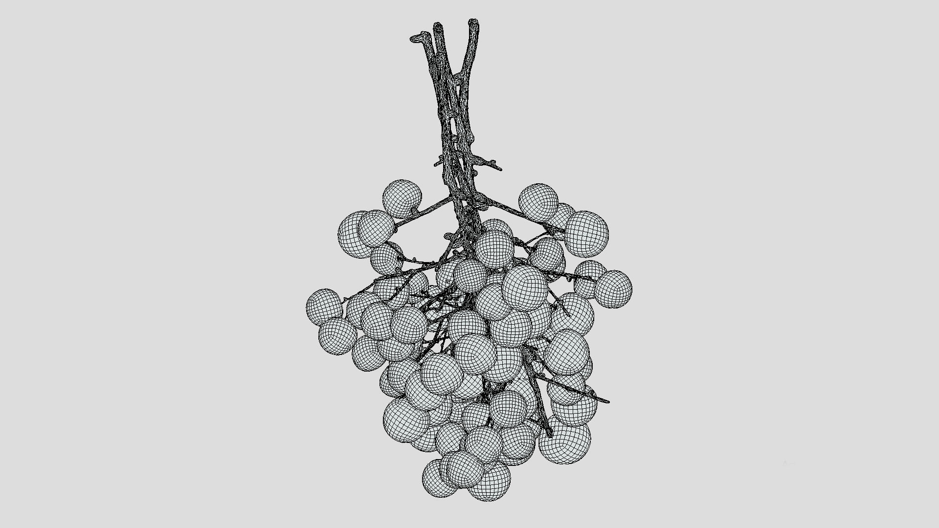 Fruit Longan 02 Low Poly 3D model_10