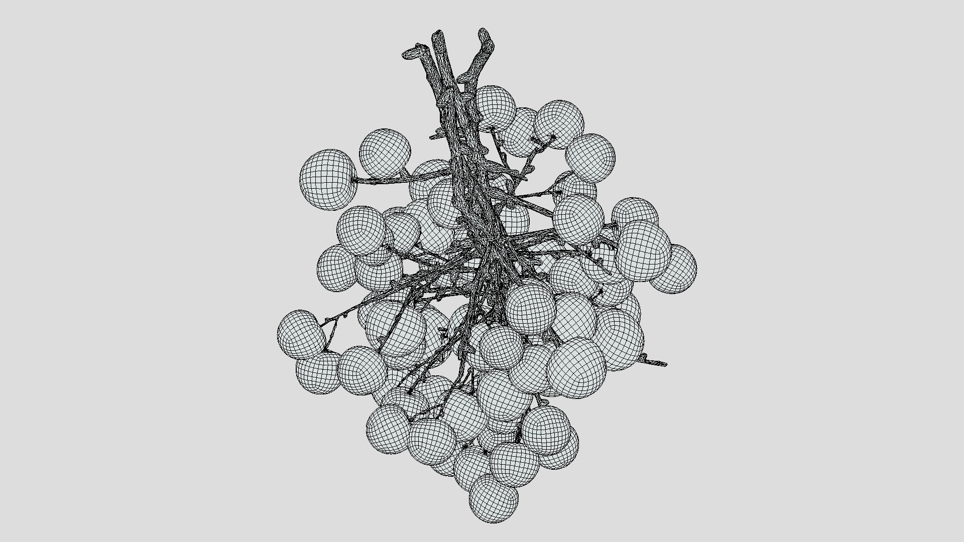 Fruit Longan 02 Low Poly 3D model_9