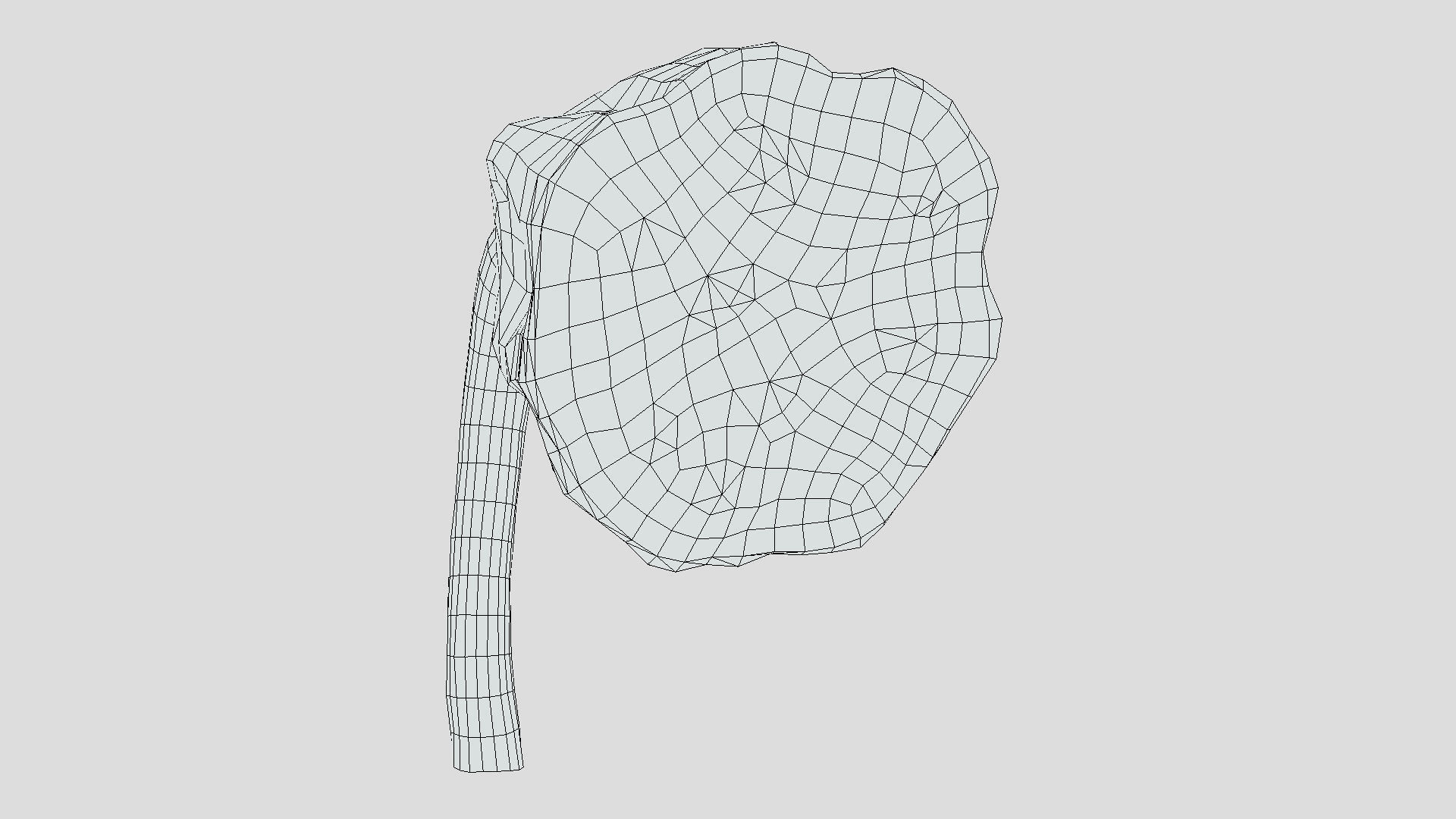 Fruit Lotus Low Poly 3D model_8