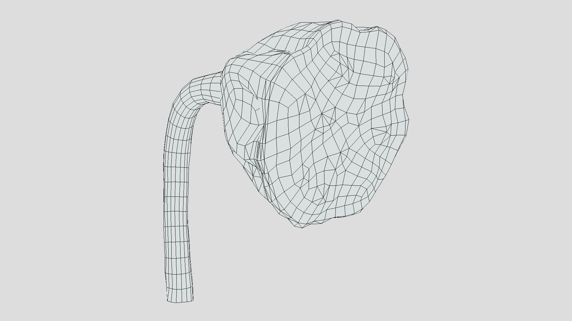 Fruit Lotus Low Poly 3D model_7