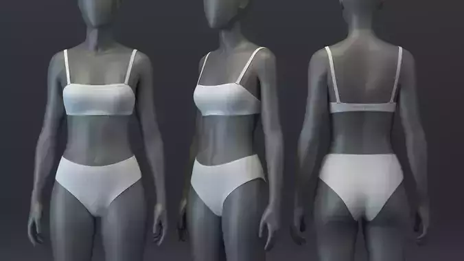 Bandeau and Bikini Brief Set