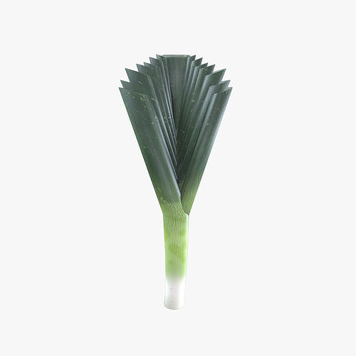 Medieval Leek Low-poly 3D model