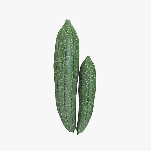 Medieval Luffa Low-poly 3D model