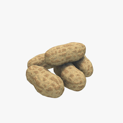 Medieval Peanuts Low-poly 3D model