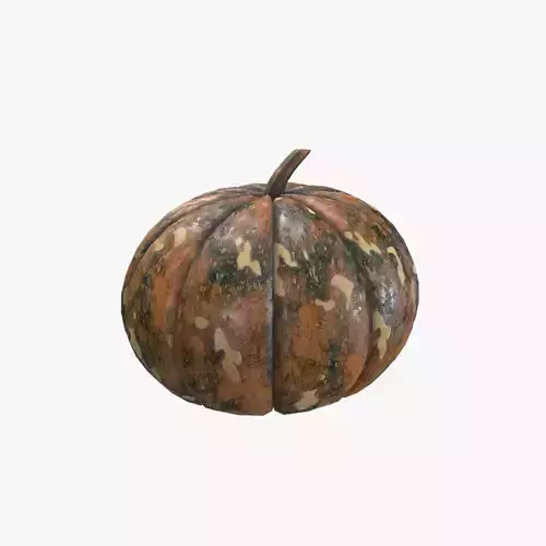 Medieval Pumpkin