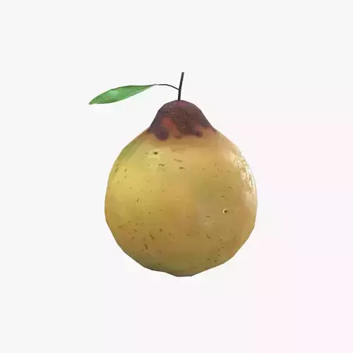 Medieval Quinces Low-poly 3D model