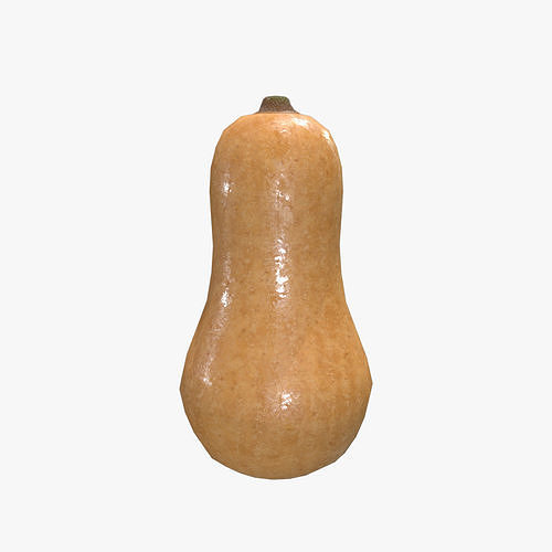 Medieval Squash Low-poly 3D model