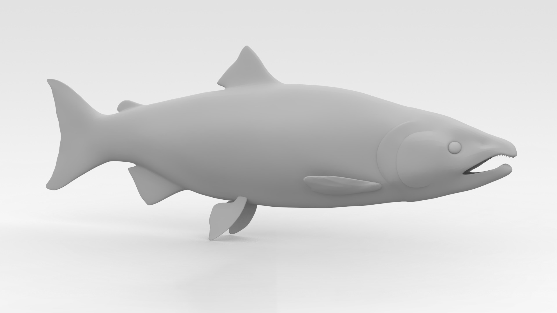 Salmon Fish 3D model_8