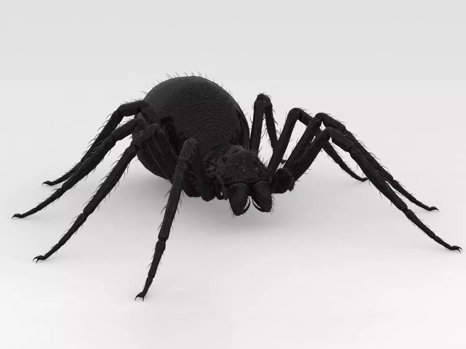 Giant Spider 3D model