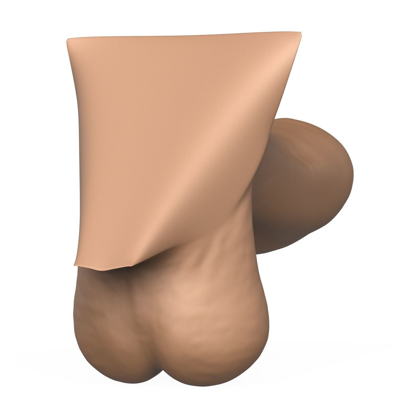 High Detailed 3D Print Ready Uncircumcised Penis 3D print model_5