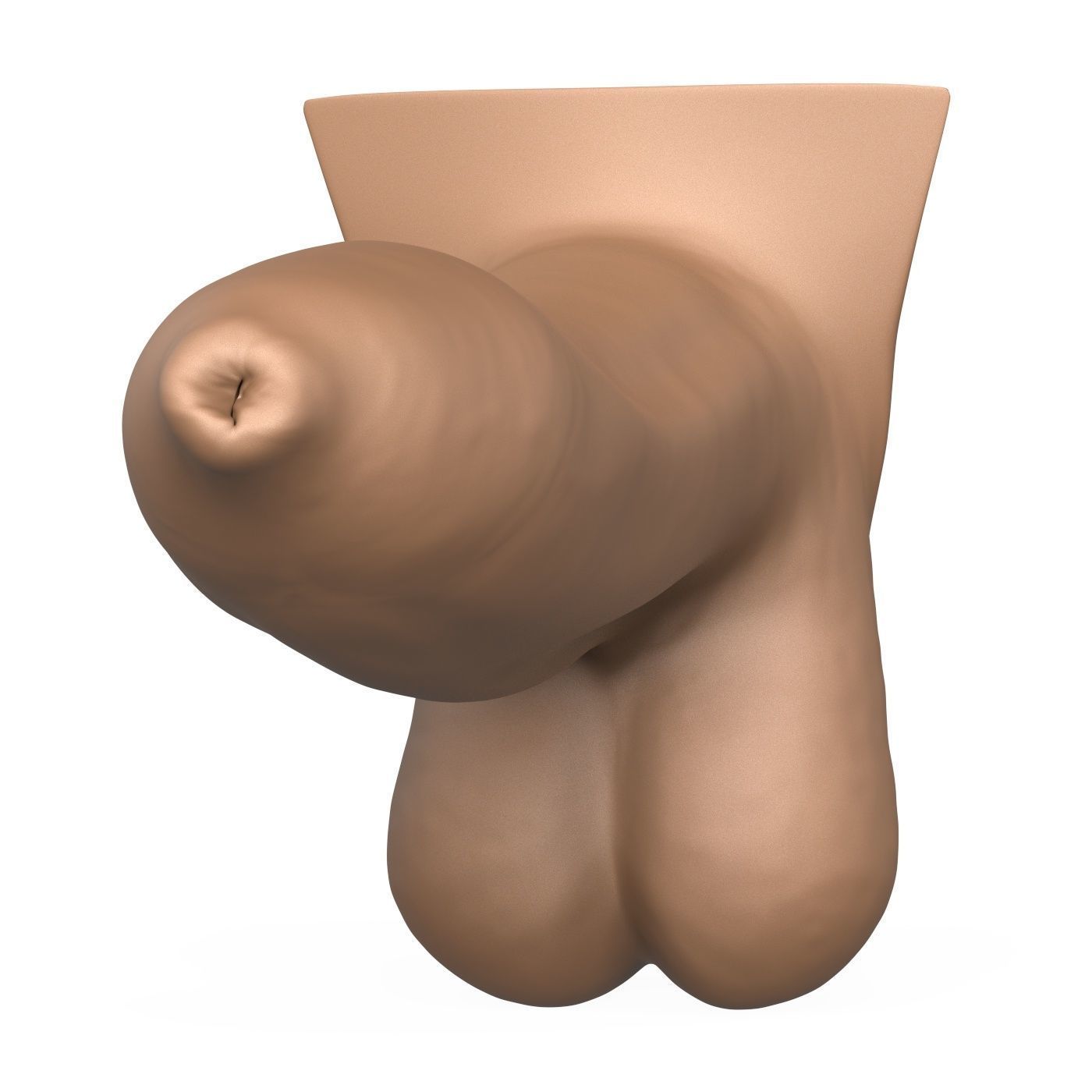High Detailed 3D Print Ready Uncircumcised Penis 3D print model_1