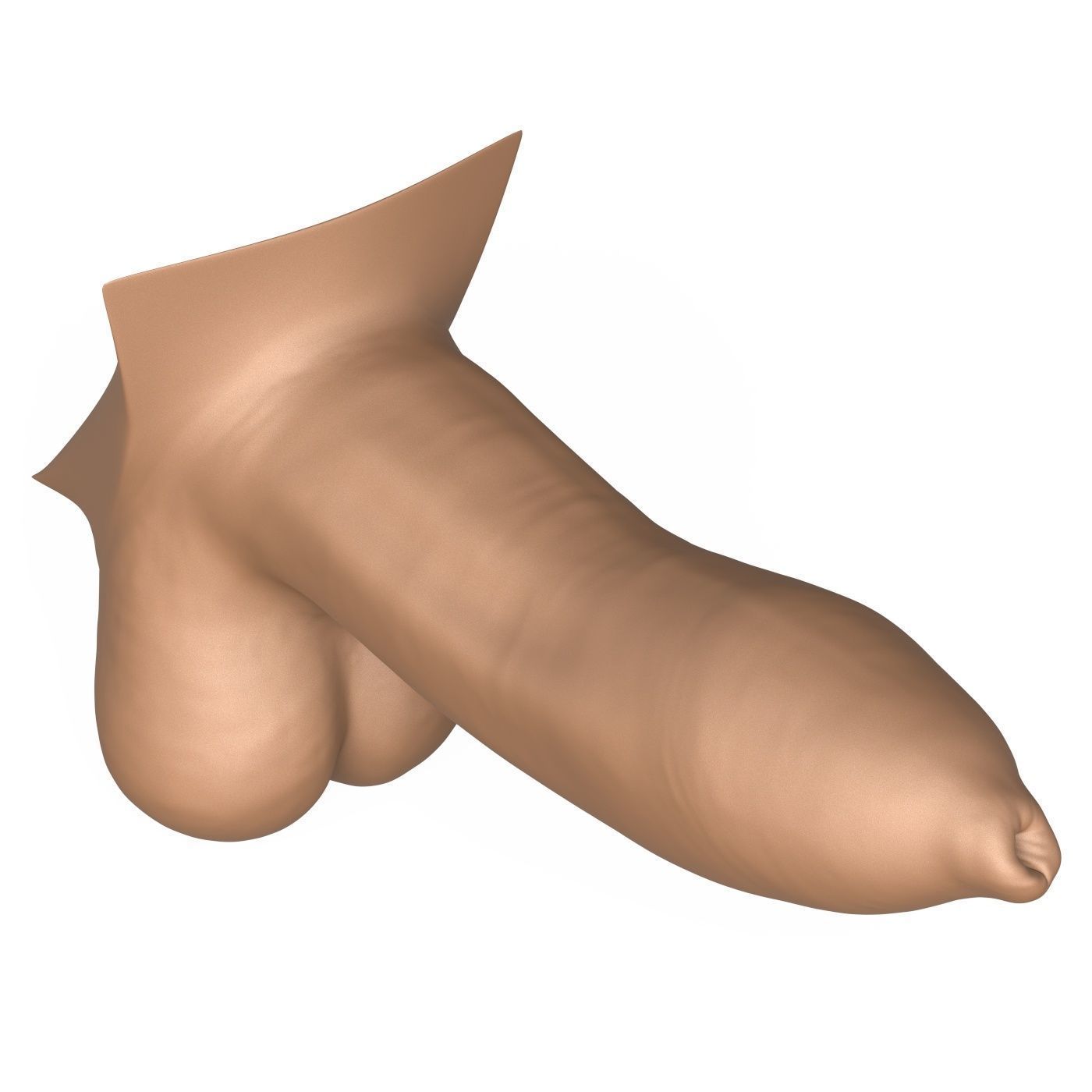 High Detailed 3D Print Ready Uncircumcised Penis 3D print model_3