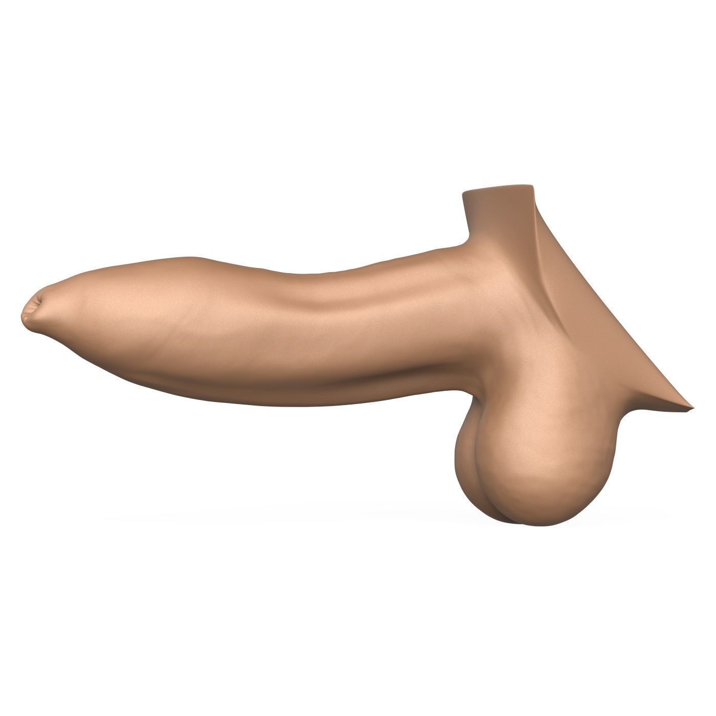 High Detailed 3D Print Ready Uncircumcised Penis 3D print model_2