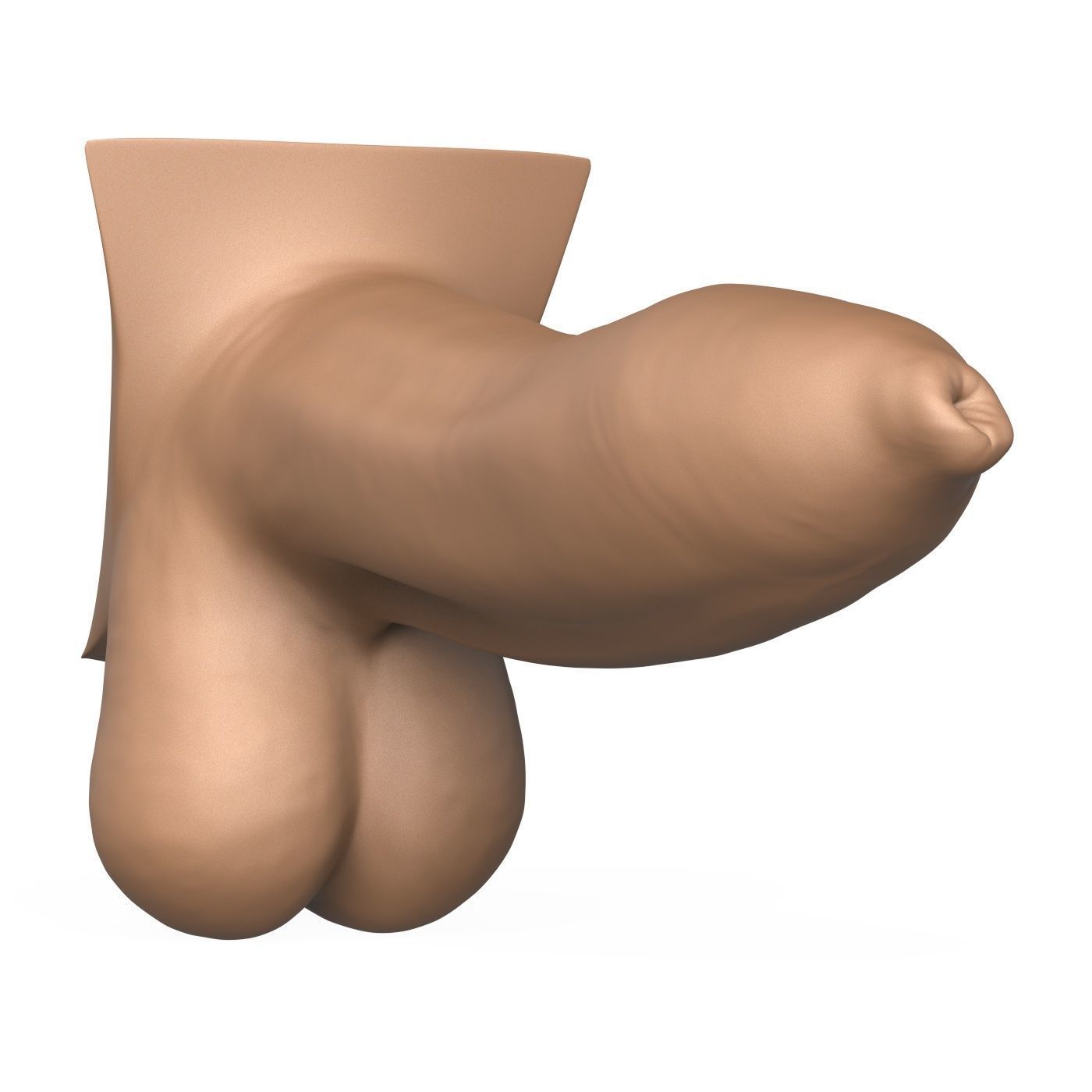 High Detailed 3D Print Ready Uncircumcised Penis 3D print model_4