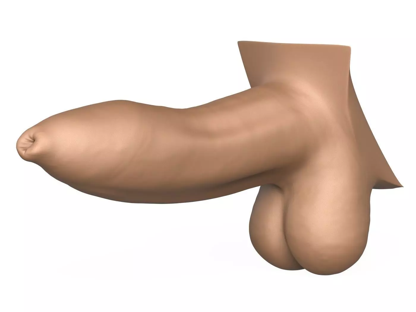 High Detailed 3D Print Ready Uncircumcised Penis 3D print model_0