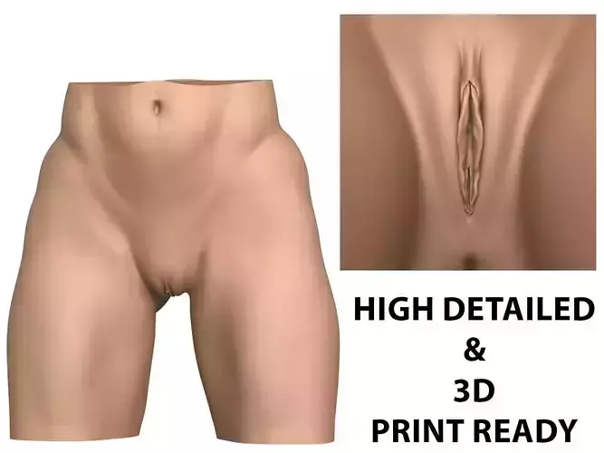 High Detailed 3D Print Ready Woman Vagina