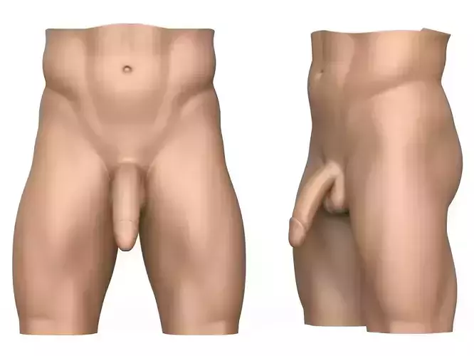 High Detailed 3D Print Ready Man Penis