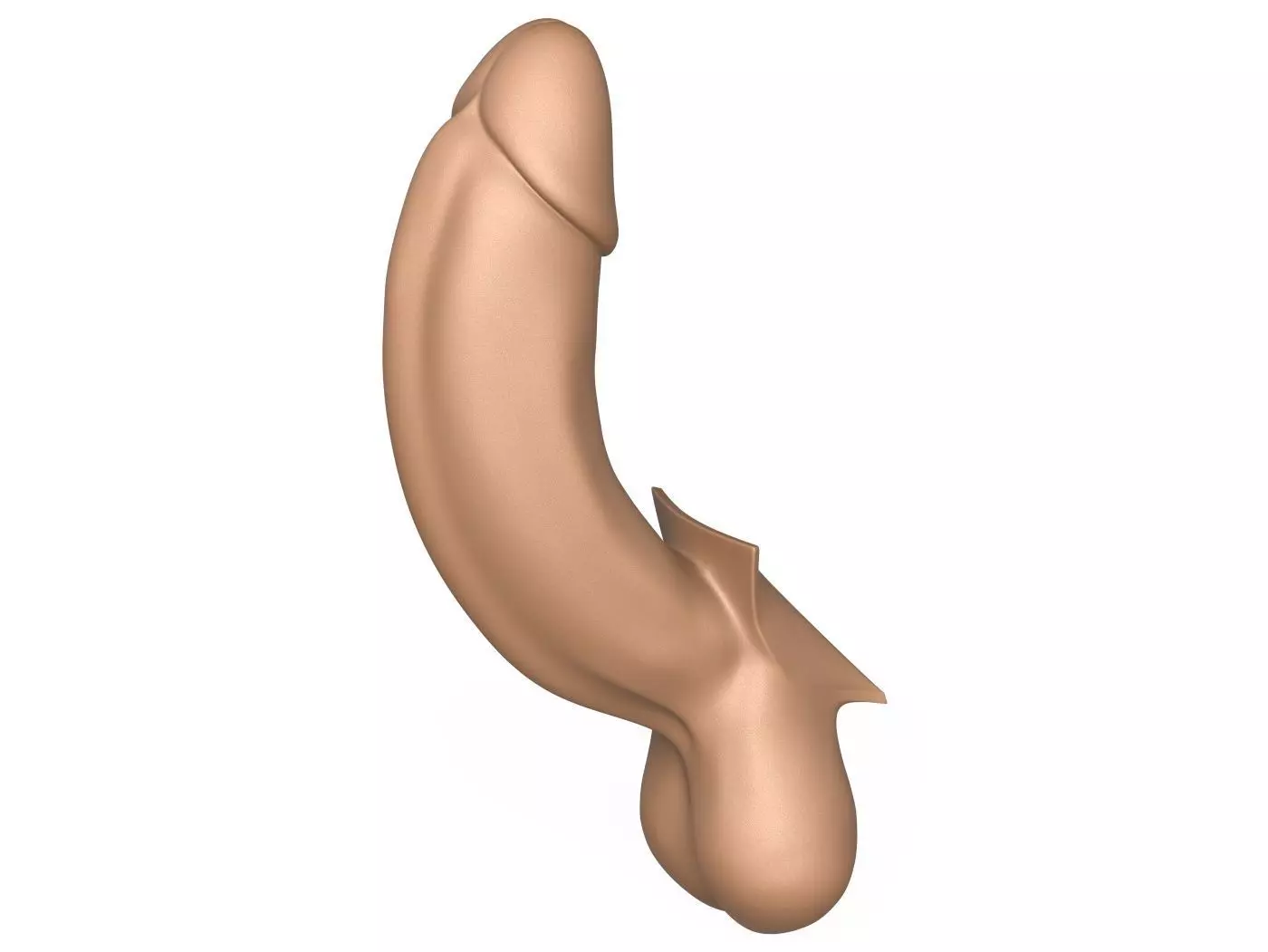 3D Print Ready Full Erect Penis 3D print model_0