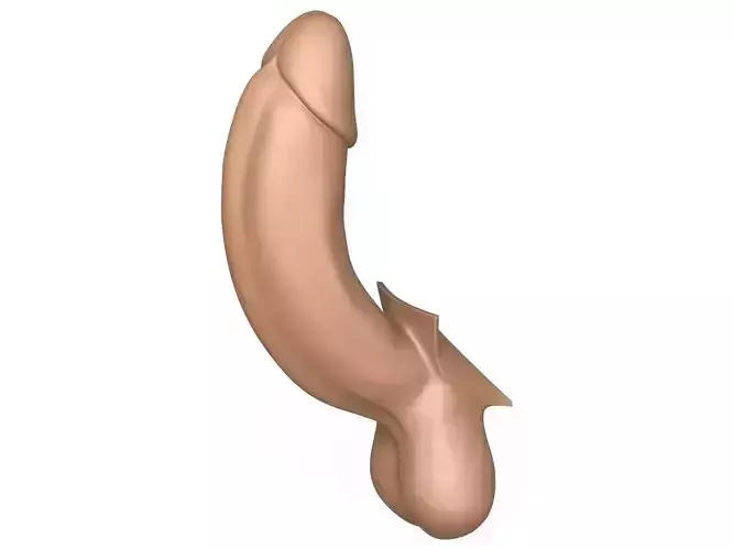 3D Print Ready Full Erect Penis 3D print model