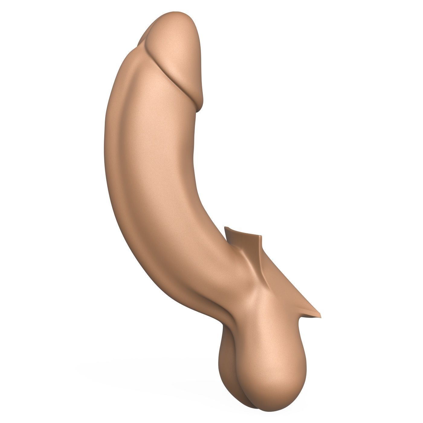 3D Print Ready Full Erect Penis 3D print model_1