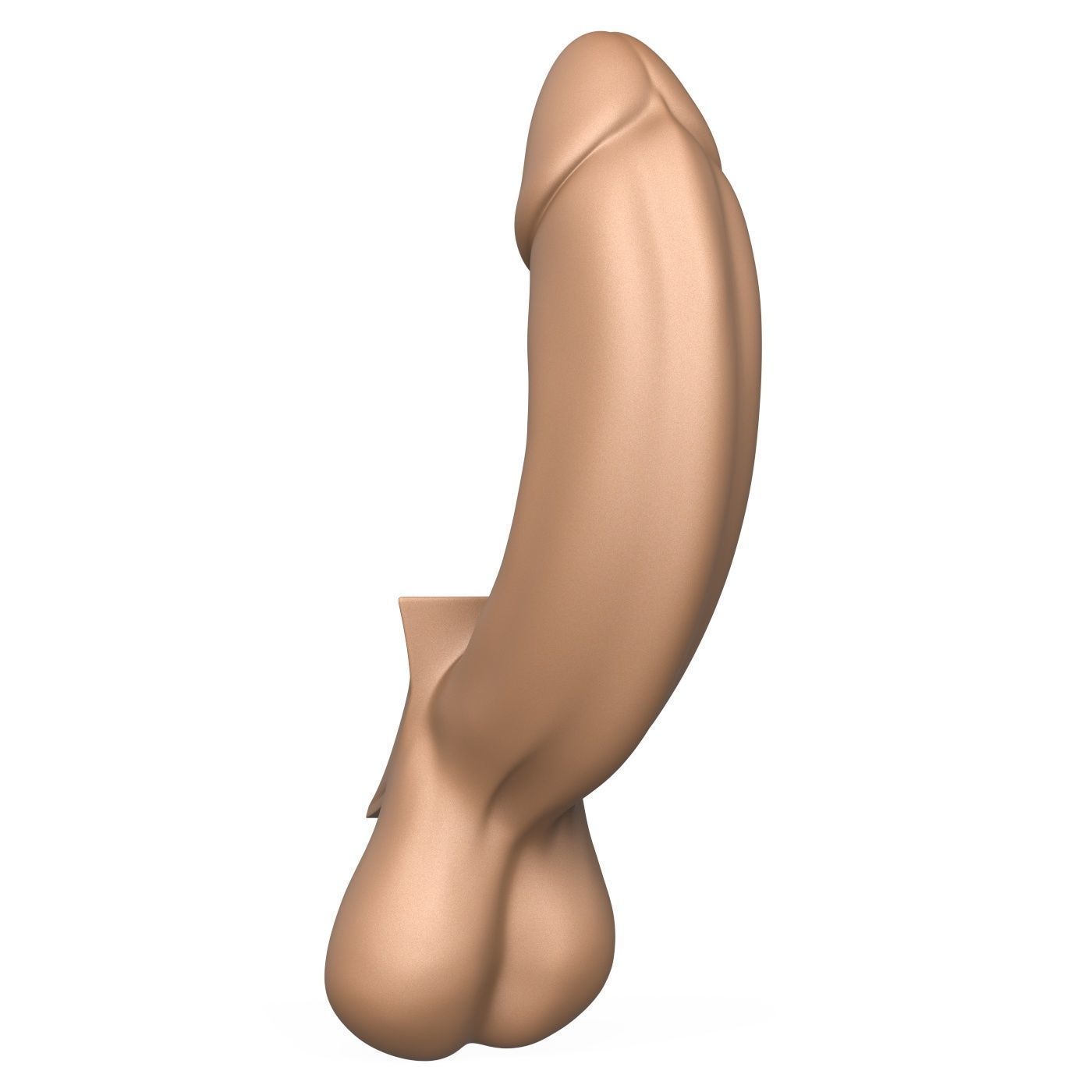 3D Print Ready Full Erect Penis 3D print model_3