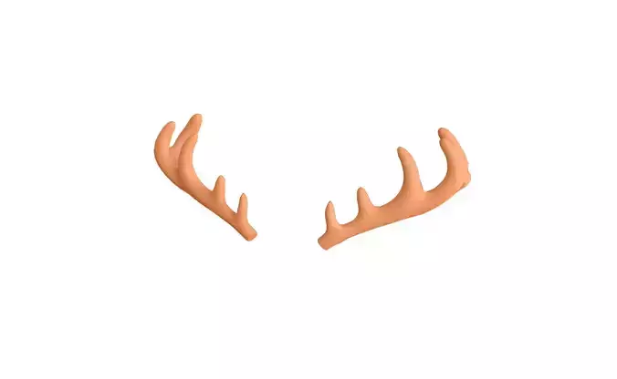 Wildlife Deer Antler