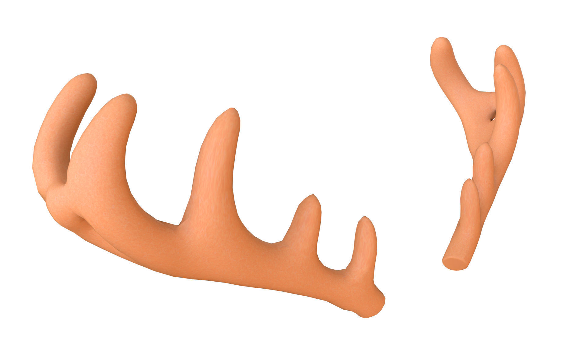 Wildlife Deer Antler Low-poly 3D model_4