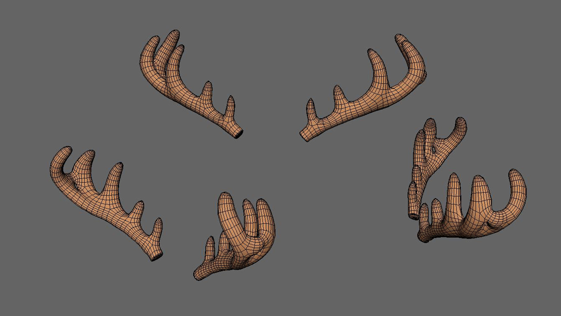 Wildlife Deer Antler Low-poly 3D model_6