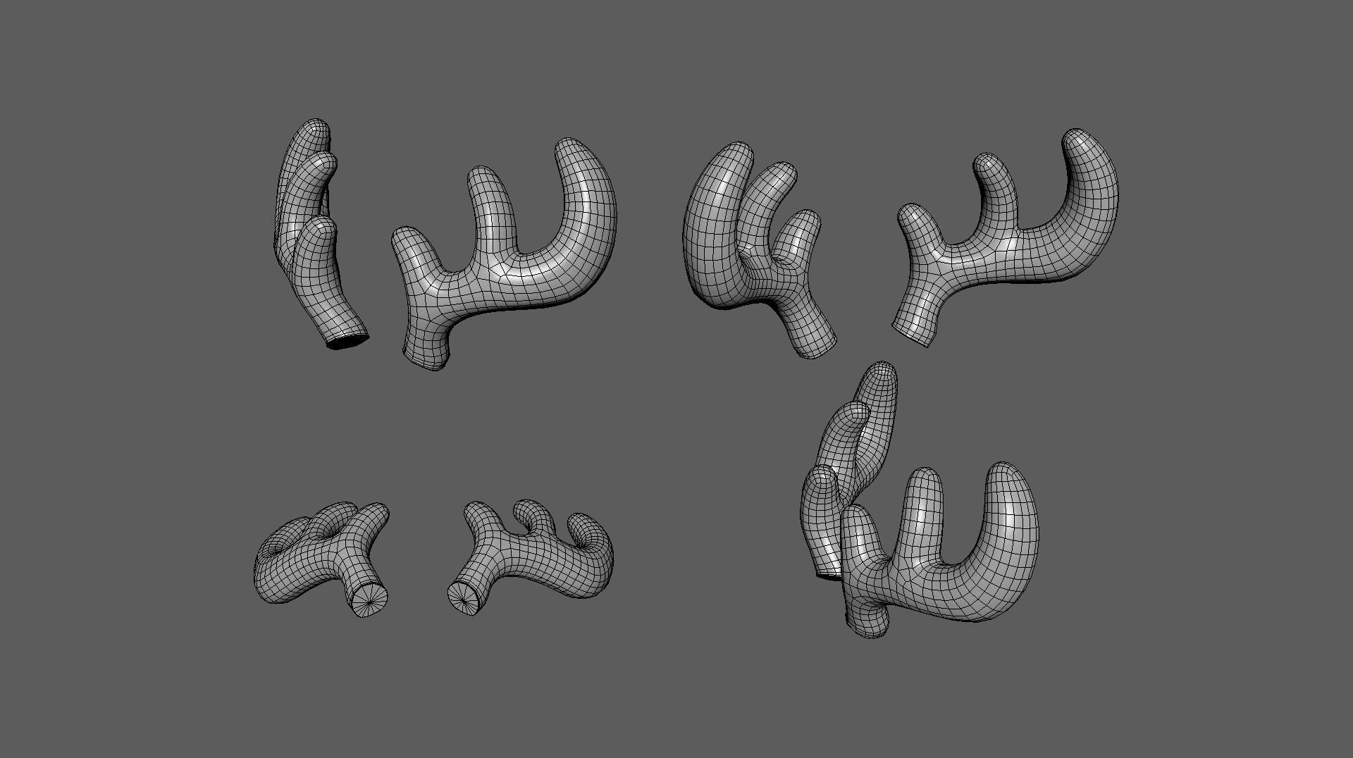 Wildlife Deer Antler 01 Low-poly 3D model_4