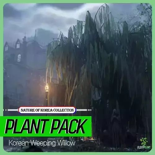 Korean Endemic Species Plant - 4 Korean Weeping Willow Tree Low-poly 3D model