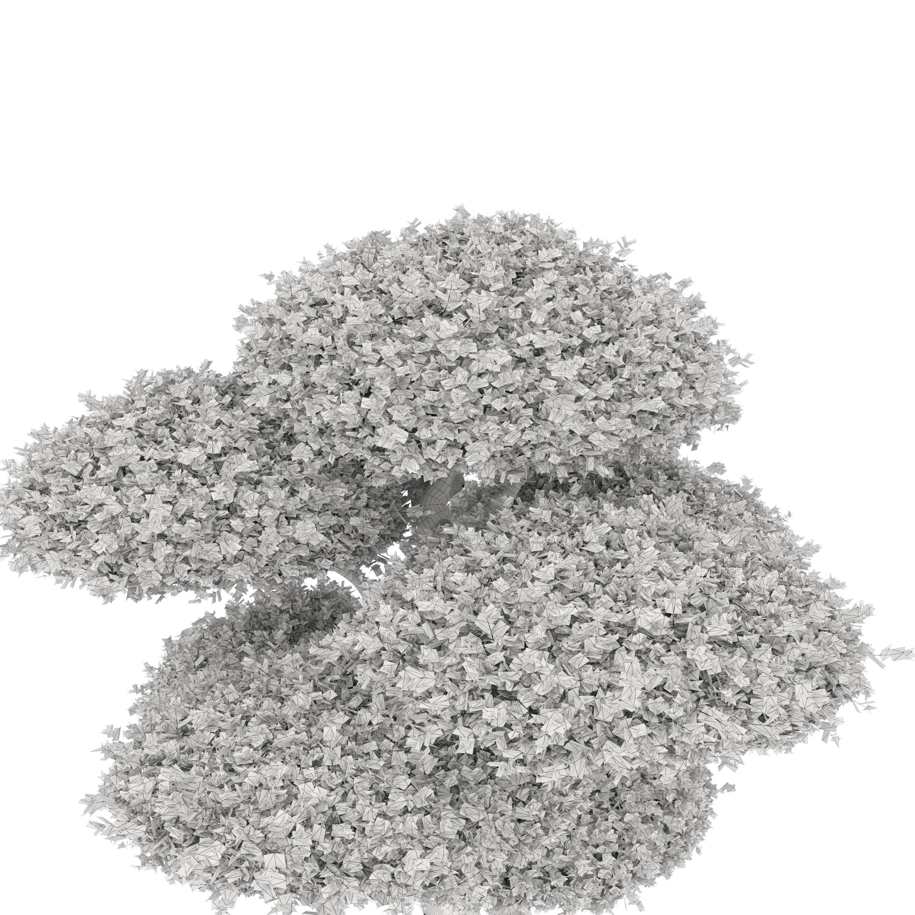 Topiary ficus 02 3D model_3