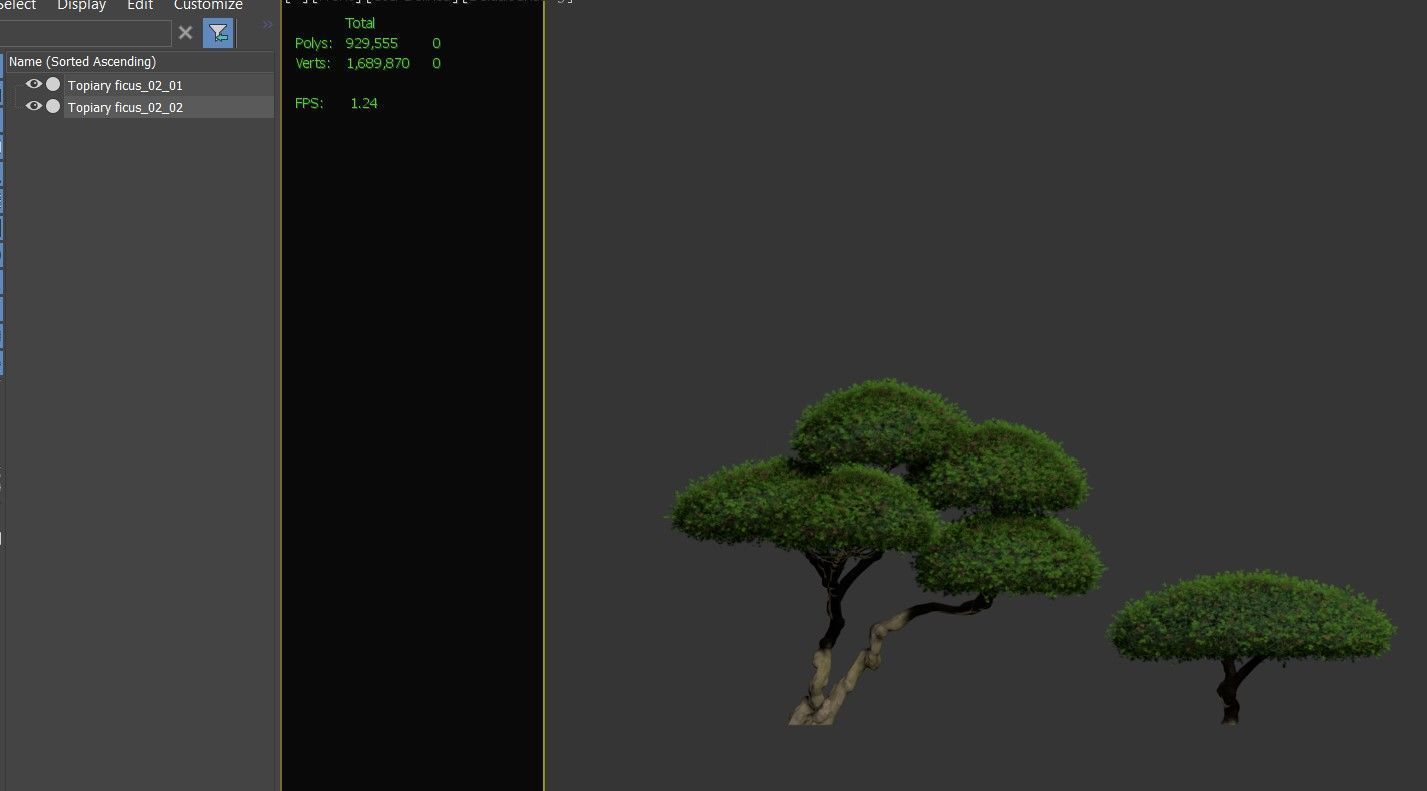 Topiary ficus 02 3D model_4