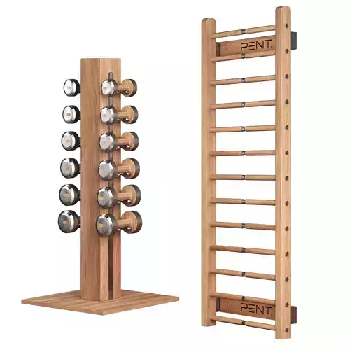 Dumbbels set and stall bars PENT 3D model