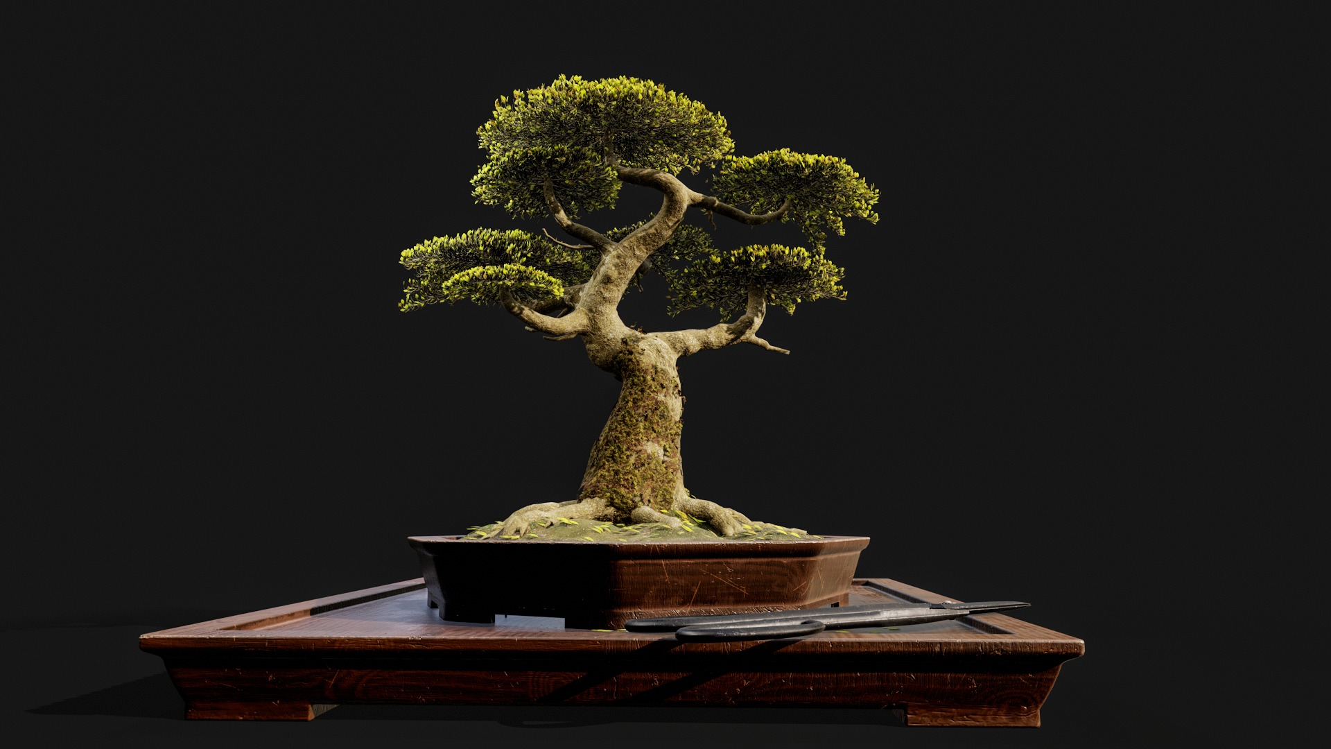 Highpoly Bonsai Tree with cutting tool 3D model_4