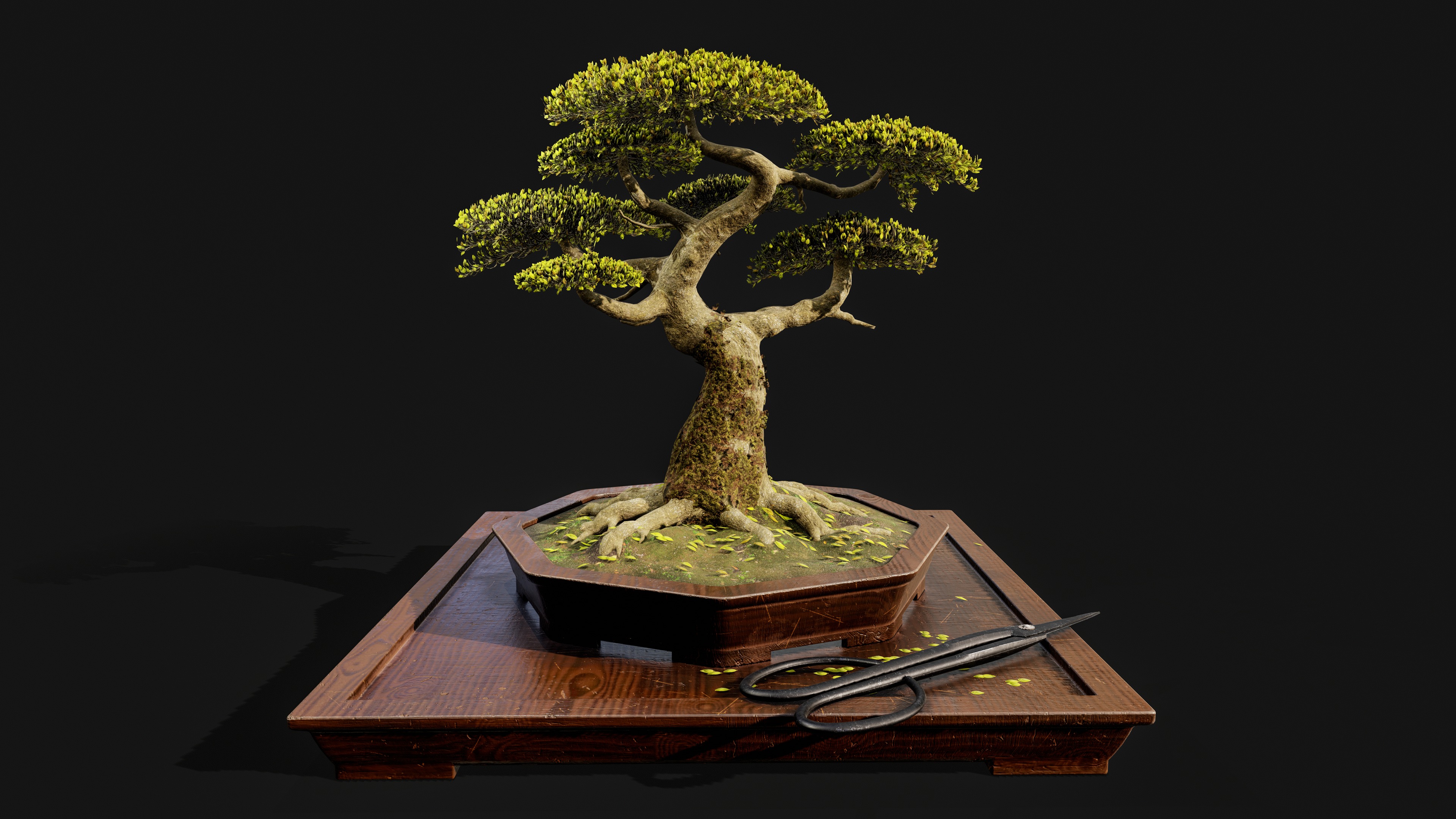Highpoly Bonsai Tree with cutting tool 3D model_1