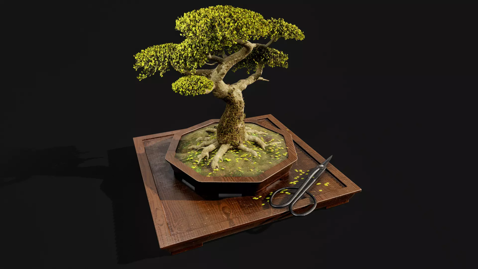 Highpoly Bonsai Tree with cutting tool 3D model_0