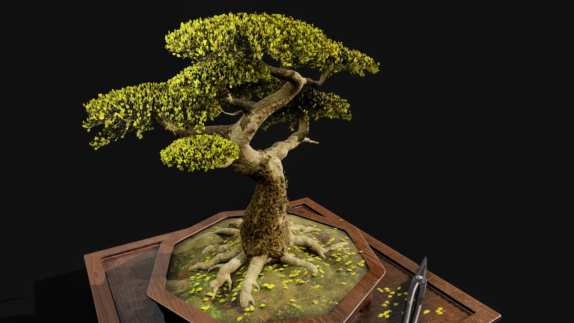 Highpoly Bonsai Tree with cutting tool 3D model_3