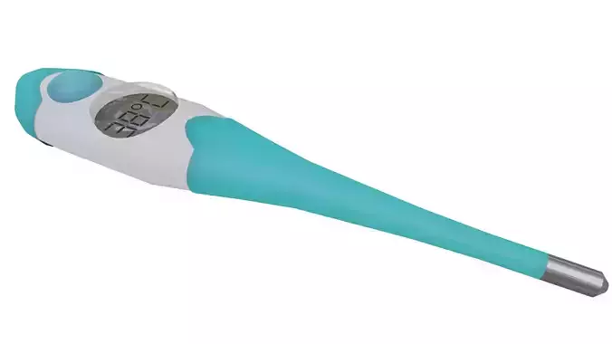 Digital Round Thermometer Realistic Celsius Display