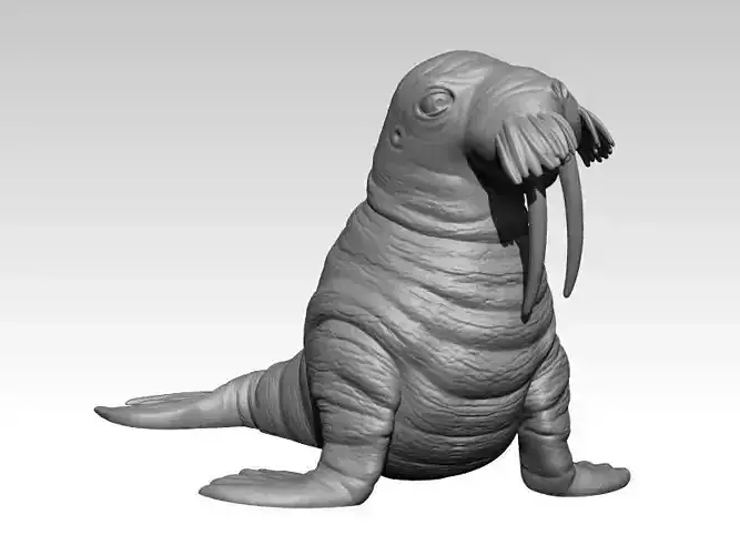 Kawaii Mini Walrus  3D print model