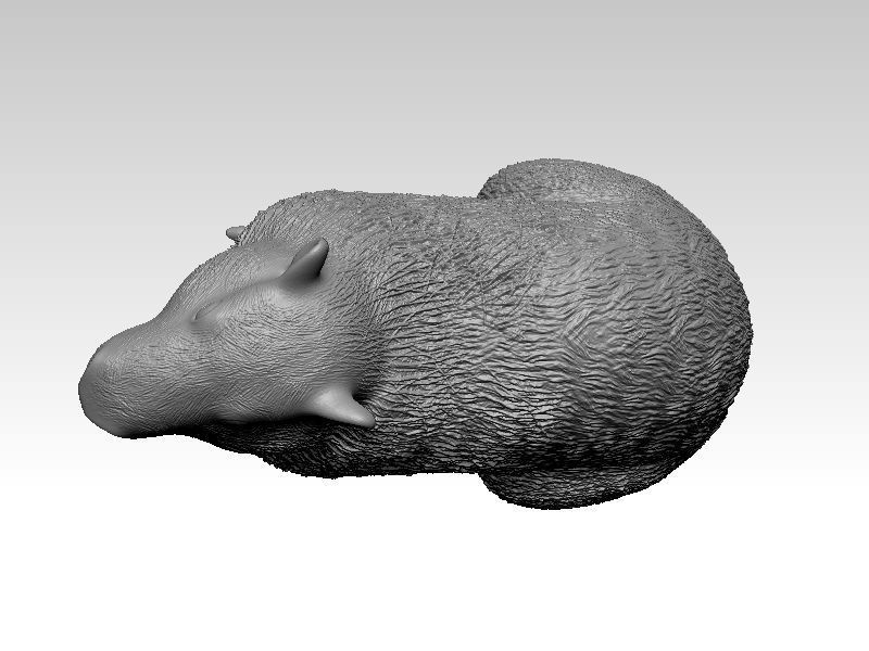 Kawaii Capybara 3D print model_5