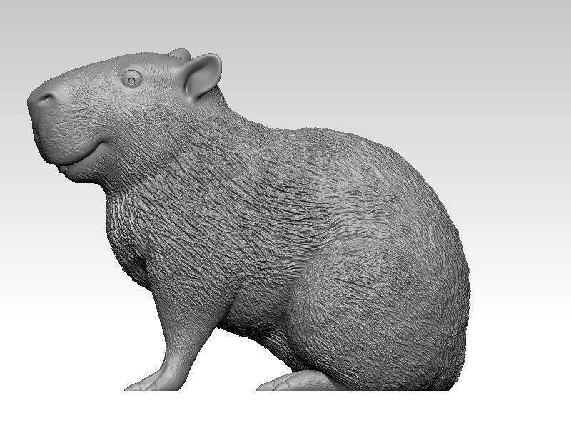 Kawaii Capybara 3D print model_3