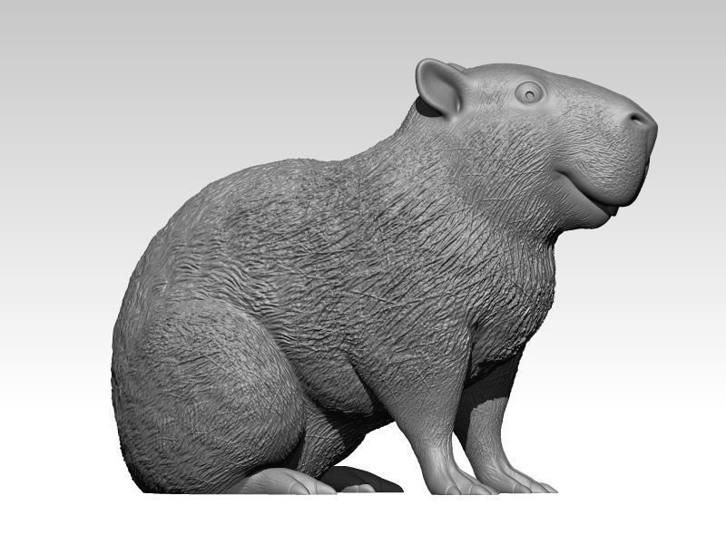 Kawaii Capybara 3D print model_1