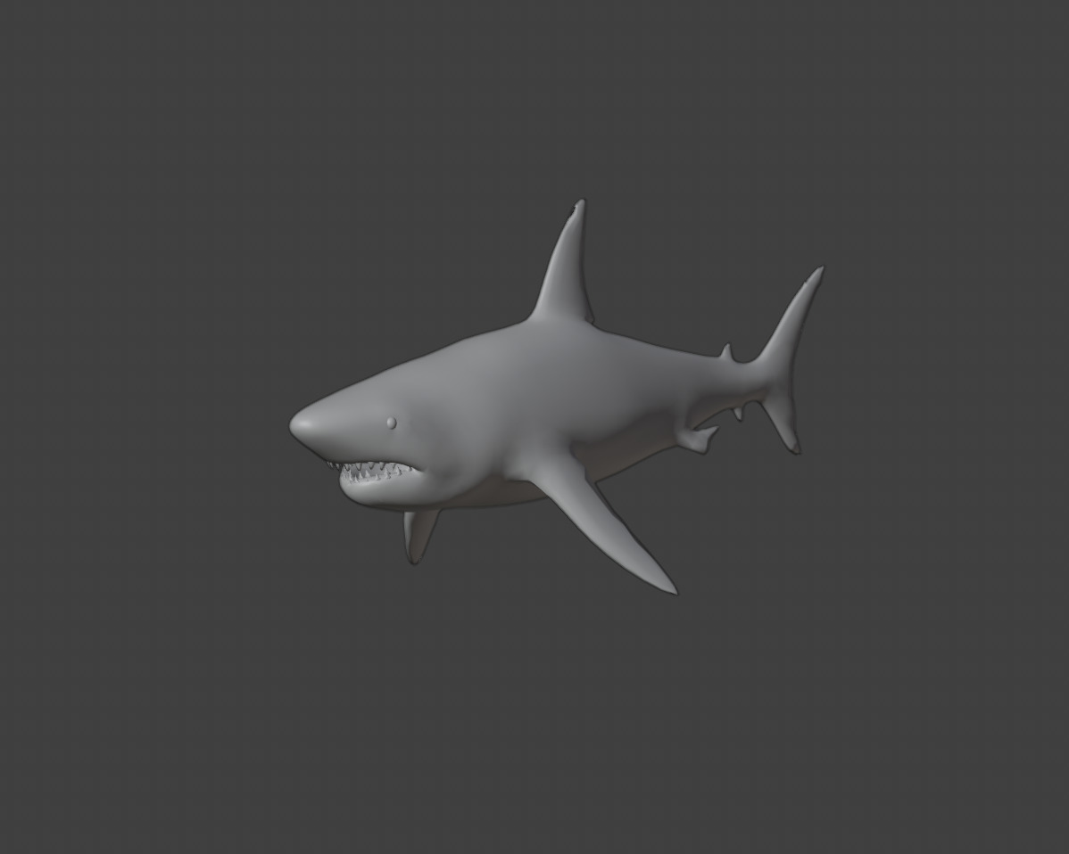 Shark Animated and Rigged Low-poly 3D model_2
