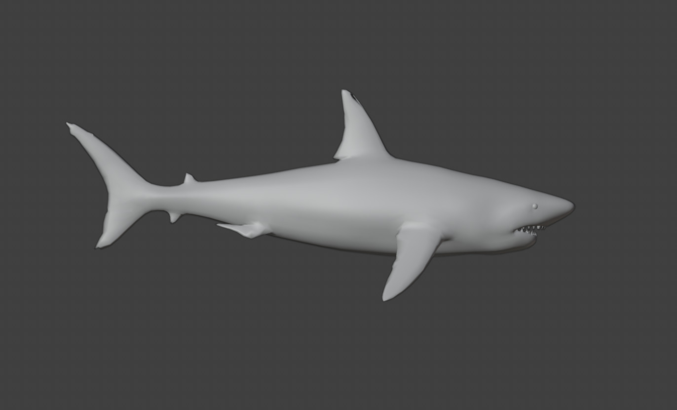 Shark Animated and Rigged Low-poly 3D model_3