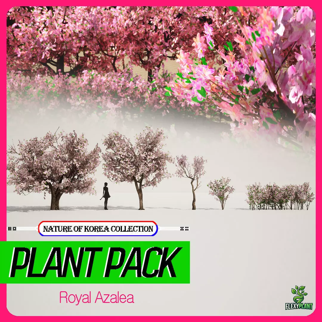Korean Endemic Species Plant - 5 Korean Royal Azalea Flower Tree Low-poly 3D model_0