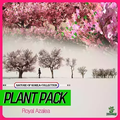 Korean Endemic Species Plant - 5 Korean Royal Azalea Flower Tree Low-poly 3D model