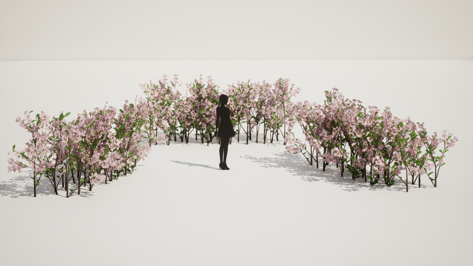 Korean Endemic Species Plant - 5 Korean Royal Azalea Flower Tree Low-poly 3D model_6