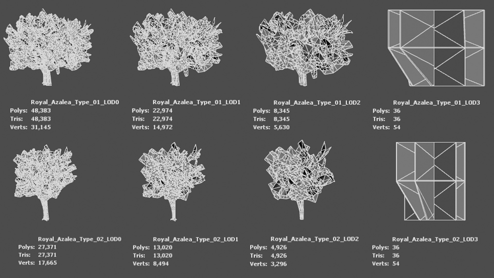 Korean Endemic Species Plant - 5 Korean Royal Azalea Flower Tree Low-poly 3D model_7
